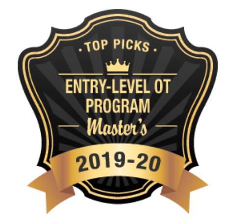 Top Entry Level OT Program