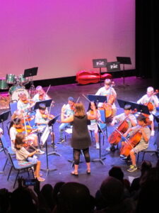 Summer Arts Institute Strings Program